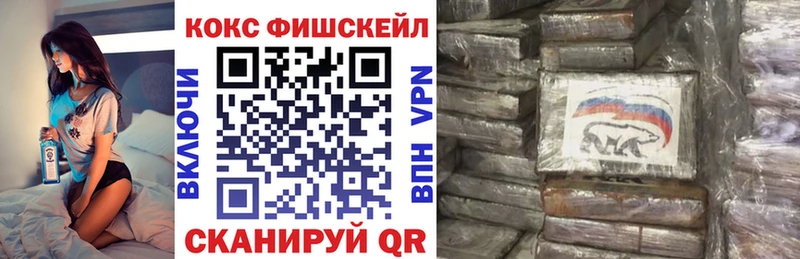 COCAIN Fish Scale  Тамбов 