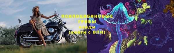 тгк Алексин