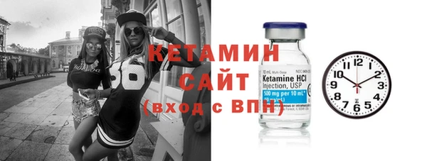 соль ск Ельня
