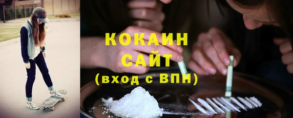тгк Алексин