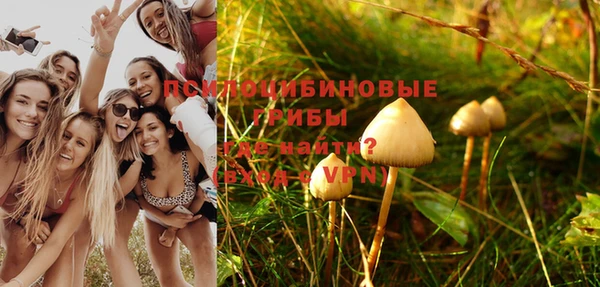 круглые Алзамай
